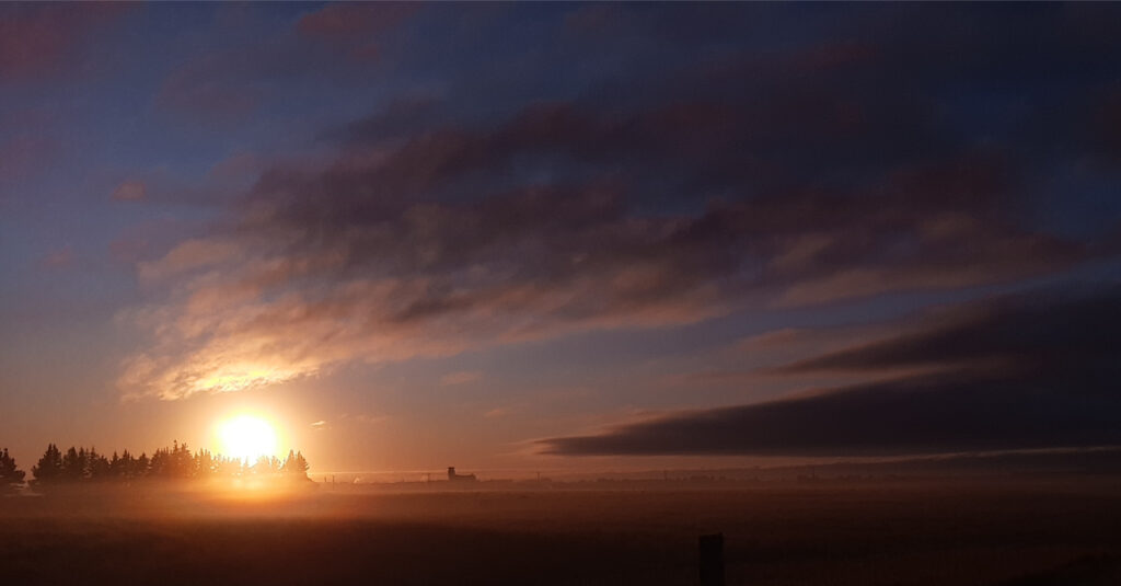 Sunset at one of New Zealand’s largest solar farms, Kōwhai Park, in Ōtautahi Christchurch