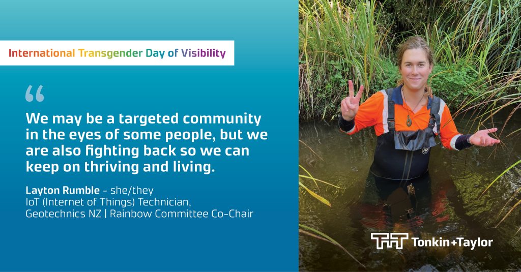 International Transgender Day of Visibility