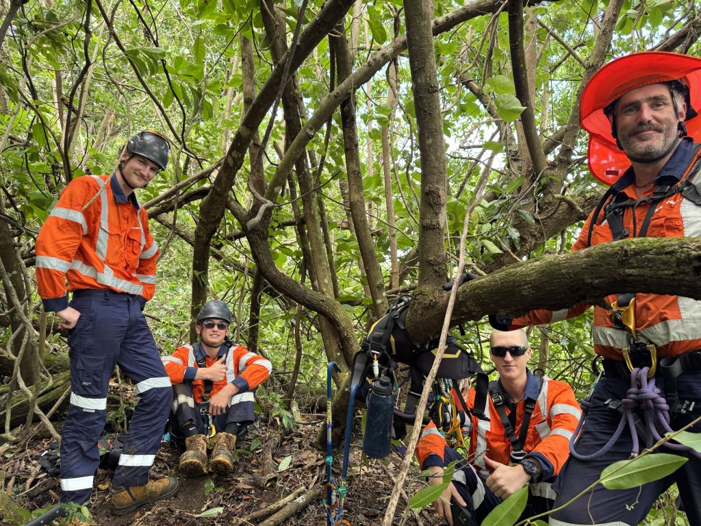 Rock removal support to strengthen Samoa's Coastal Road Network
