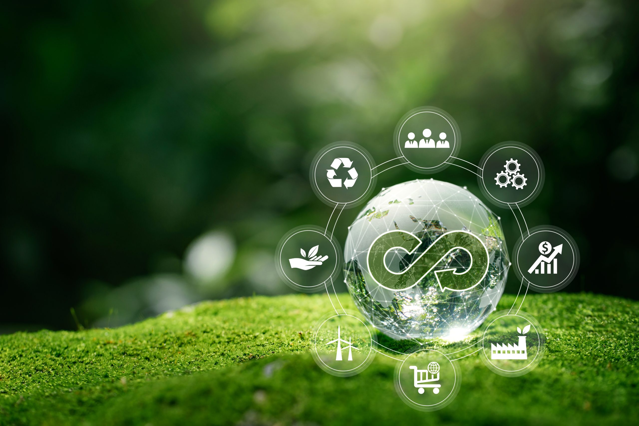 Coffs Waste Conference: Making Circular Economy Plans Work – Lessons from Aotearoa