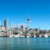 Auckland City