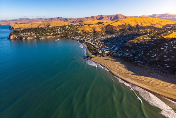 Town on a bay and headland with a long beach, representing local government