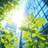 Key Findings from the FMA’s 2025 Review